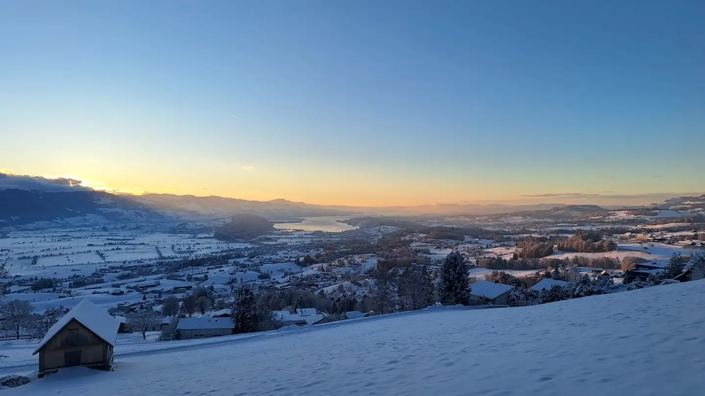 Wohnung kaufen - 8738 Uetliburg SG