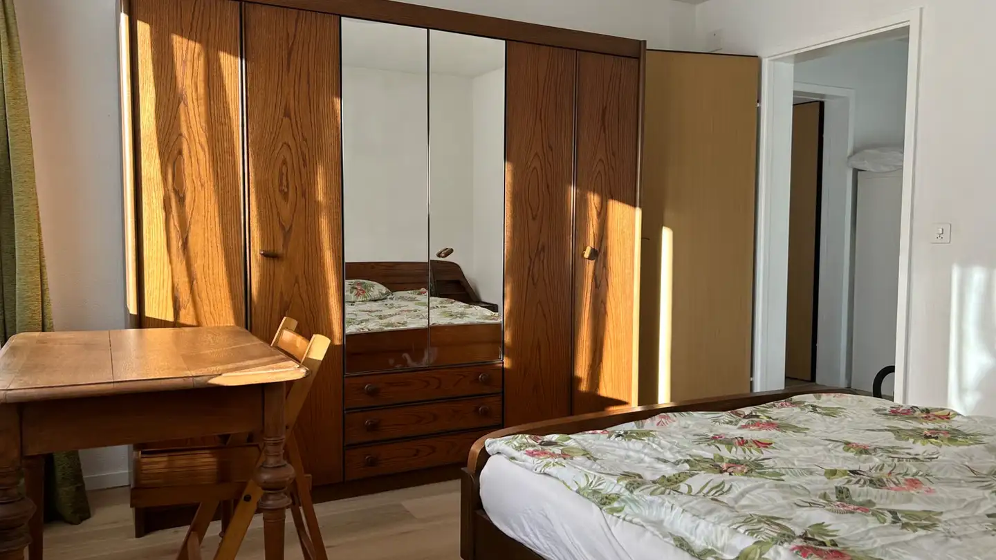 Single room for rent - Via Alla Motta 47, 6517 Arbedo - Photo 3