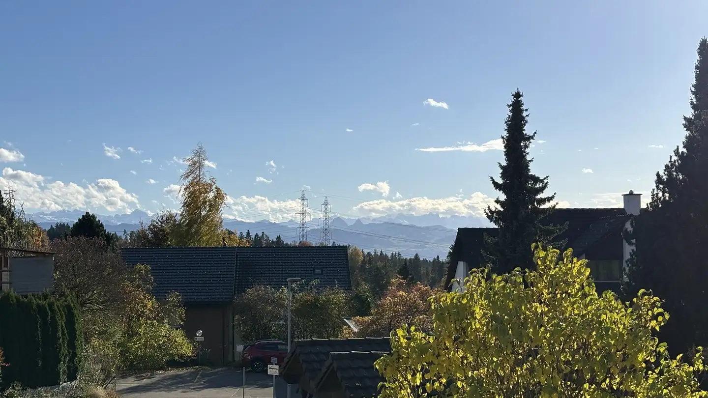 Appartamento in vendita - Frowiesstrasse 2, 8345 Adetswil - Photo 3