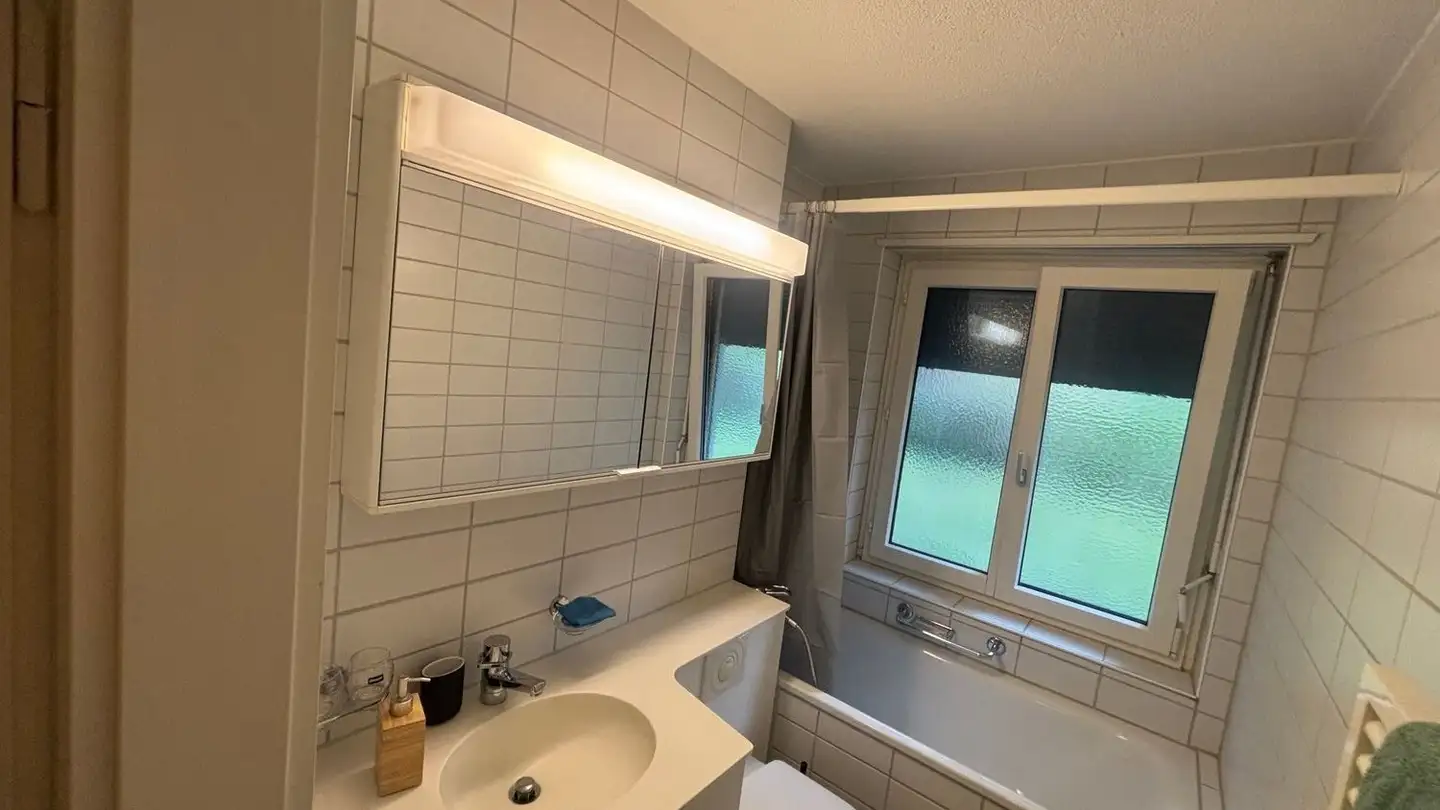 Chambre à louer - Töpferstrasse 38, 8045 Zürich - Photo 3