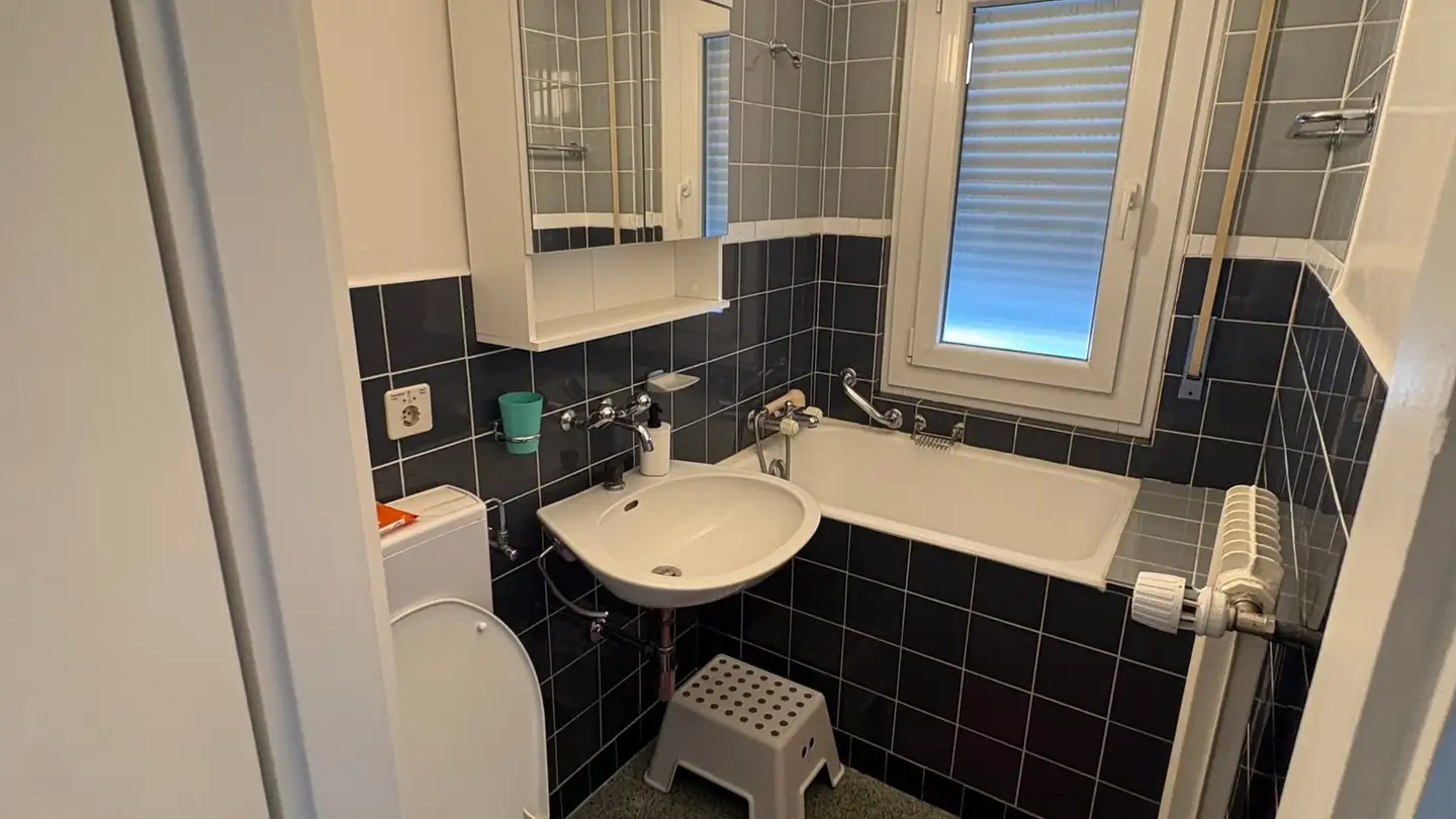 Studio in affitto - Chemin De La Creuse 3, 1020 Renens VD - Foto 4