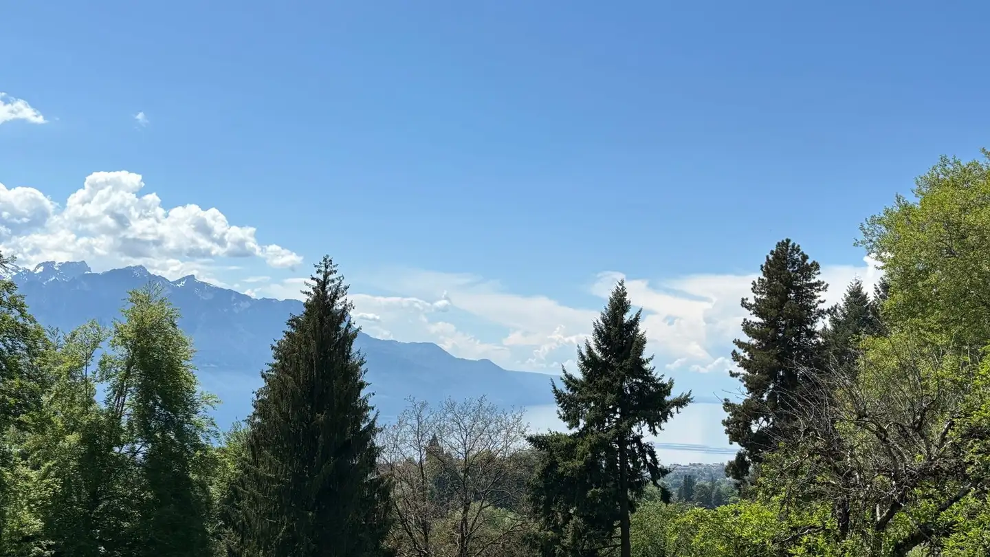 Semi-detached house for sale - Route De Saint Légier, 1807 Blonay