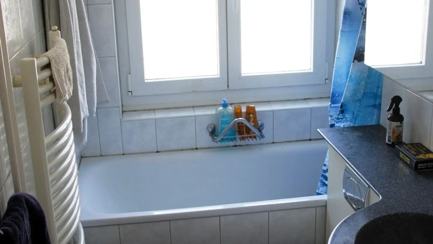 Appartamento in affitto - Burgstrasse 103, 8408 Winterthur