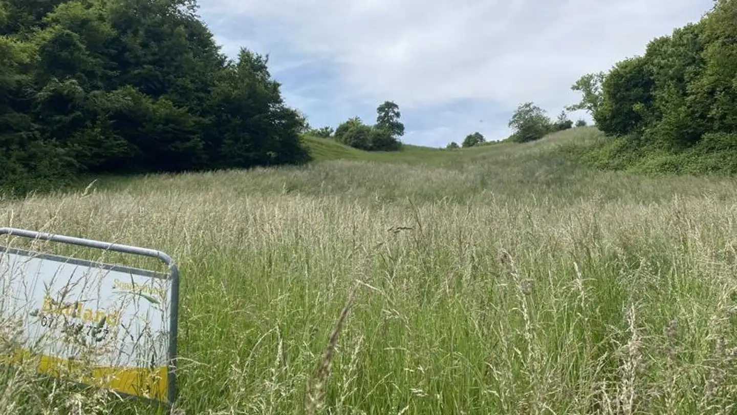 Terrain constructible à vendre - Steig, 8535 Herdern - Photo 3