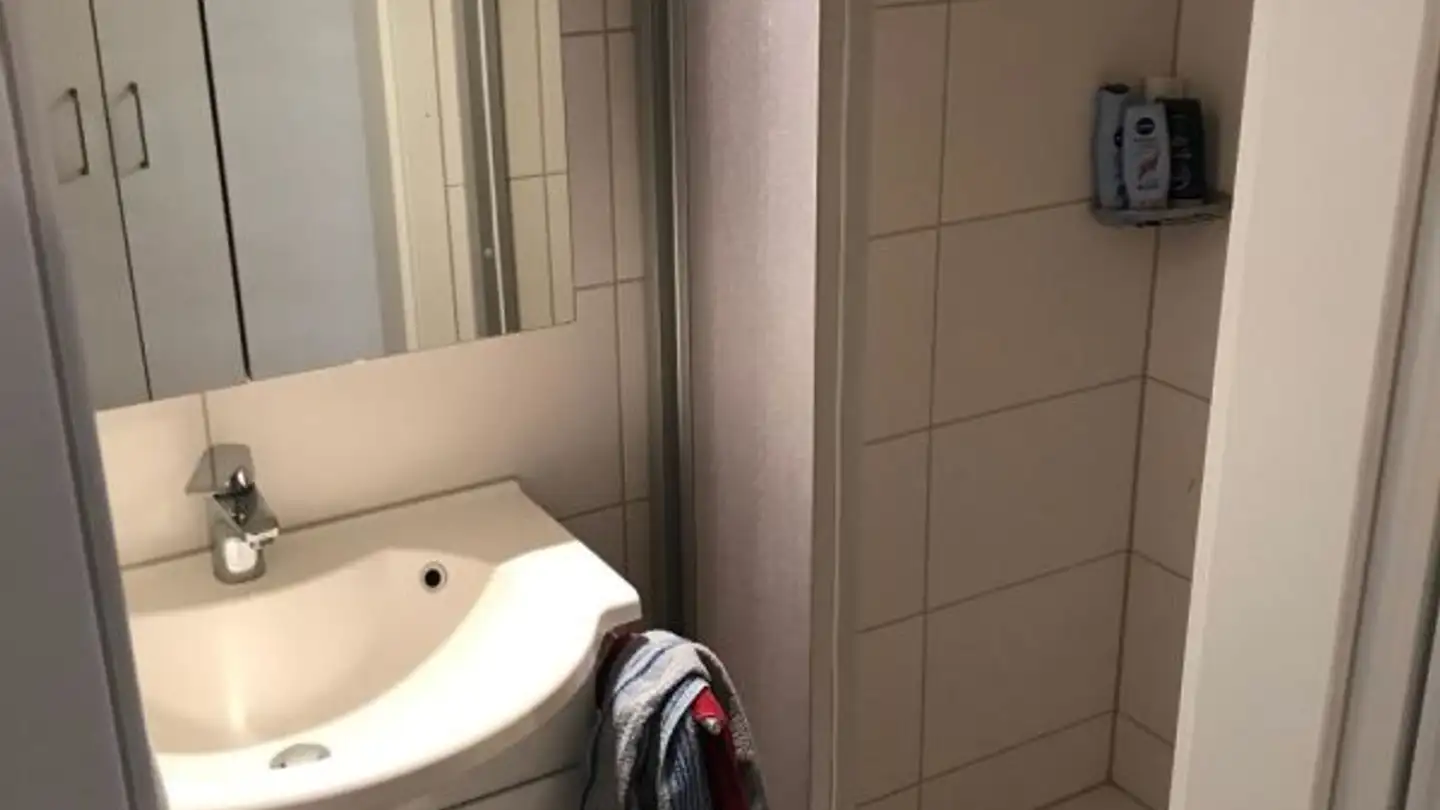 Attic flat for rent - Oberdorfstrasse 5, 9116 Wolfertswil - Photo 2