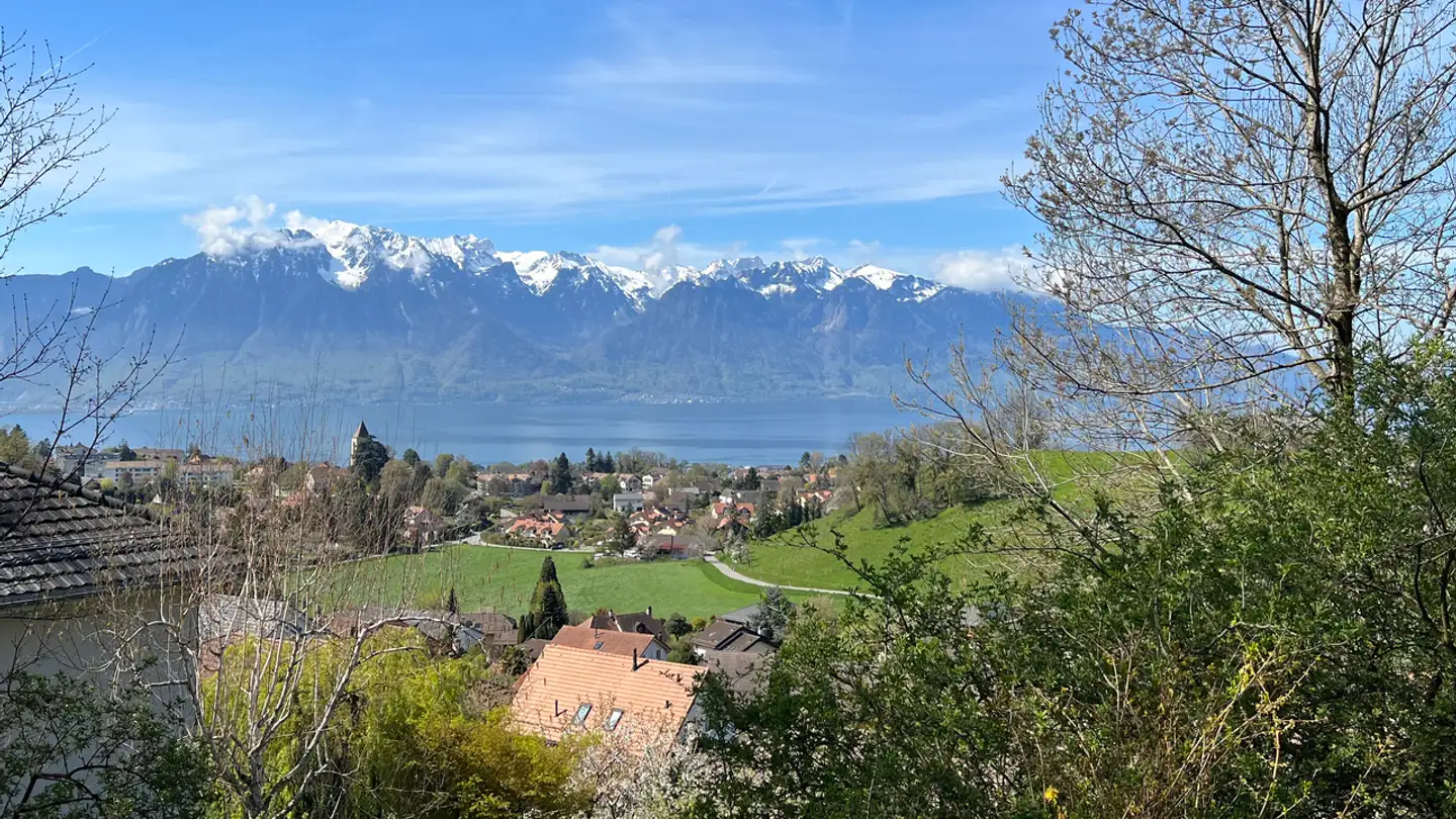 Einfamilienhaus kaufen - Chemin De La Baillaz 35, 1806 St-Légier-La Chiésaz - Foto 4