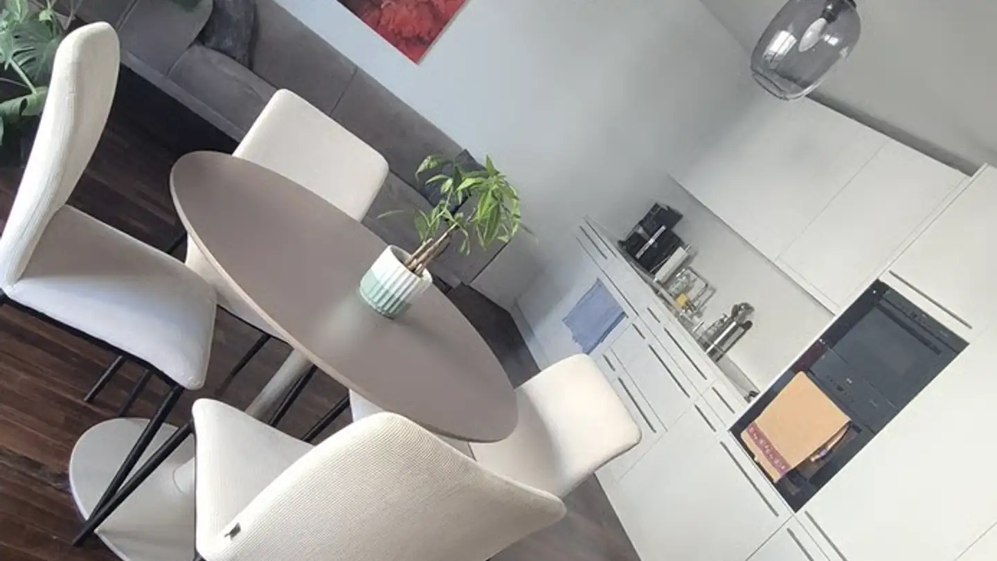 Möblierte Wohnung mieten - Turbinenstrasse, 8005 Zürich