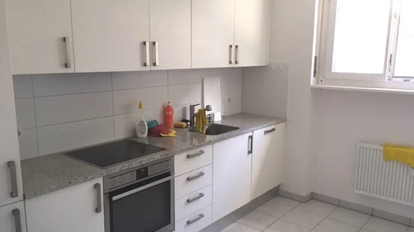 Apartment for rent - Via Motto Arbino 18, 6517 Arbedo - Photo 4