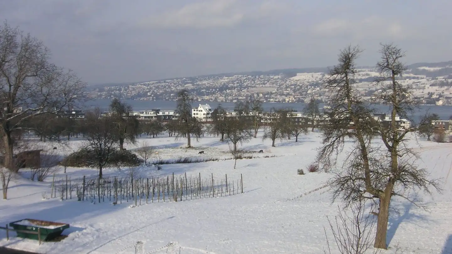 Appartement à louer - Neuhofstrasse 8, 8810 Horgen - Photo 4