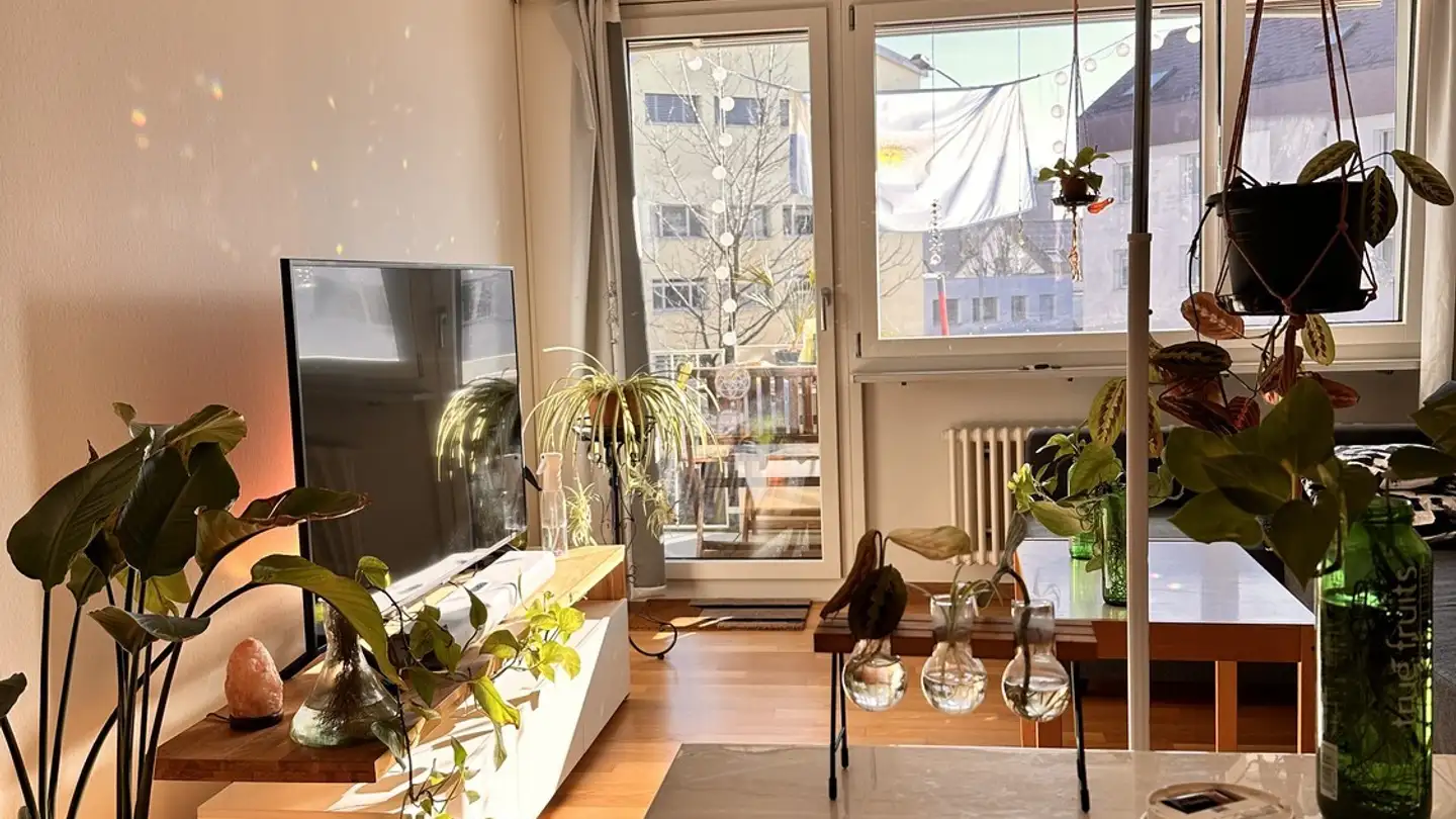 Apartment for rent - 8610 Uster