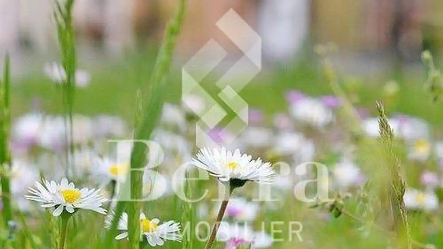 Constructible plot for sale - 1896 Miex