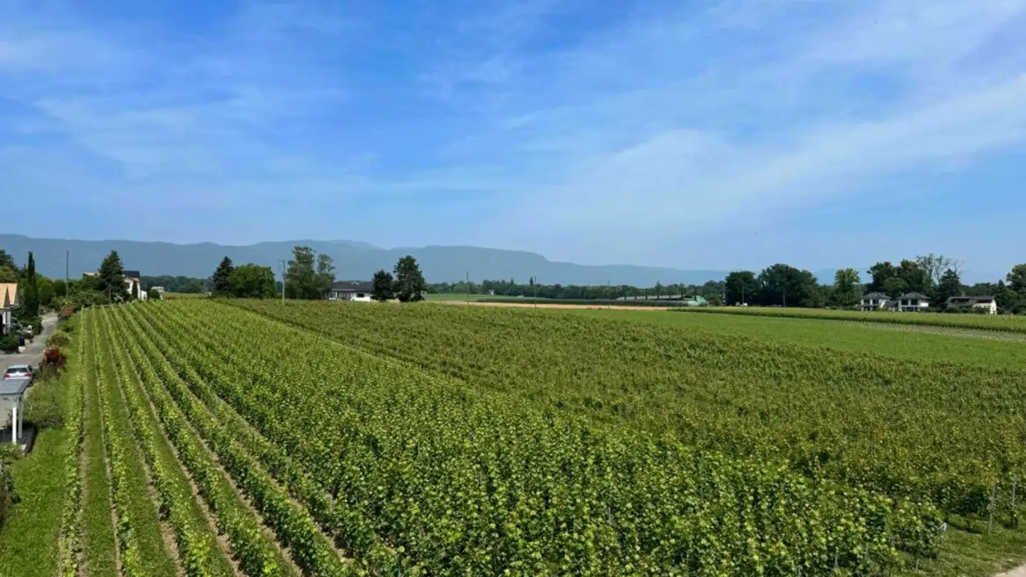 Maison en terrasse à louer - 1296 Coppet