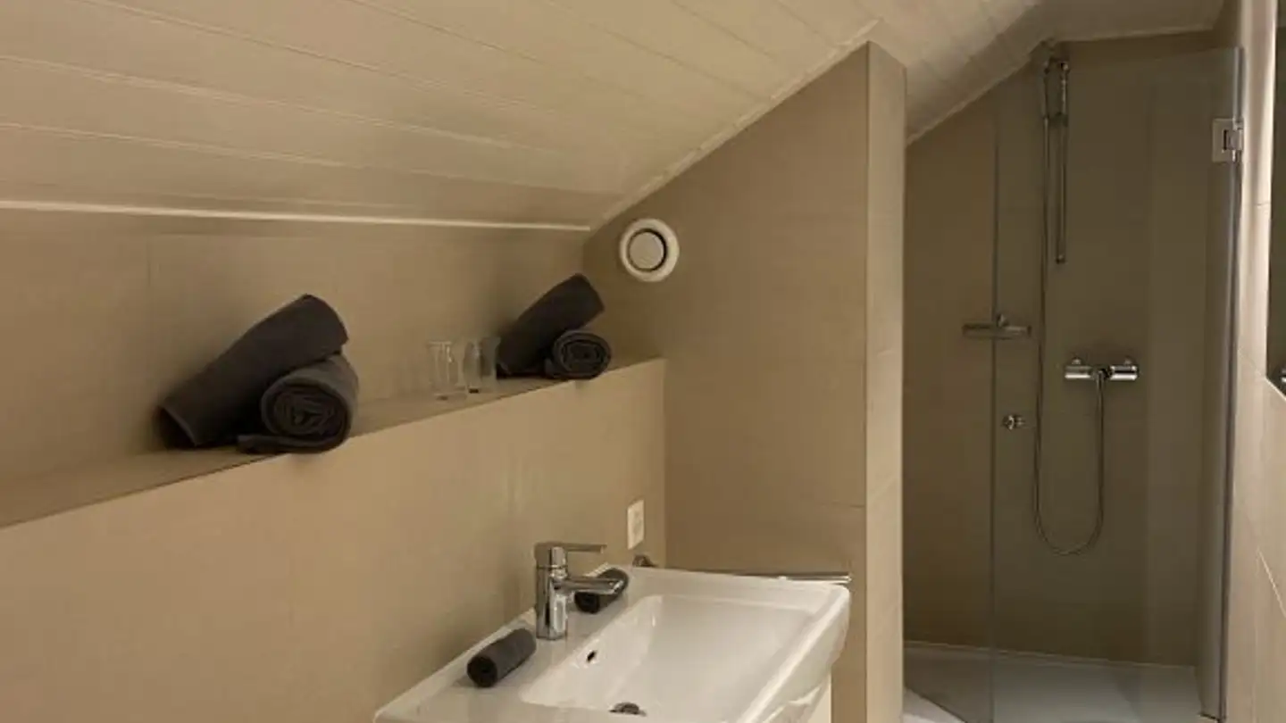 Apartment for rent - 1227 Carouge GE - Photo 4