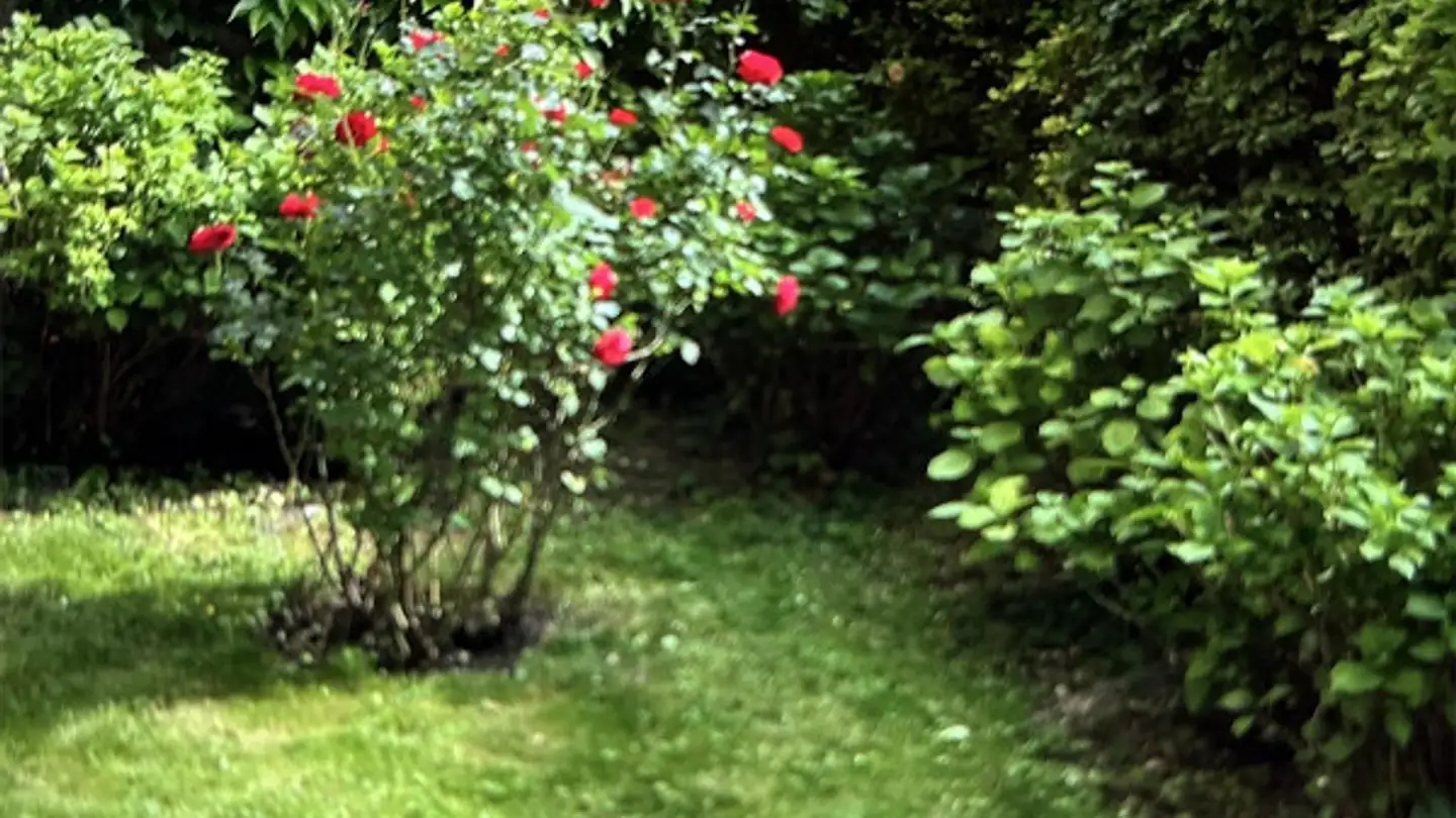 Wohnung mieten - Giacomettistrasse 100, 7000 Chur - Foto 4