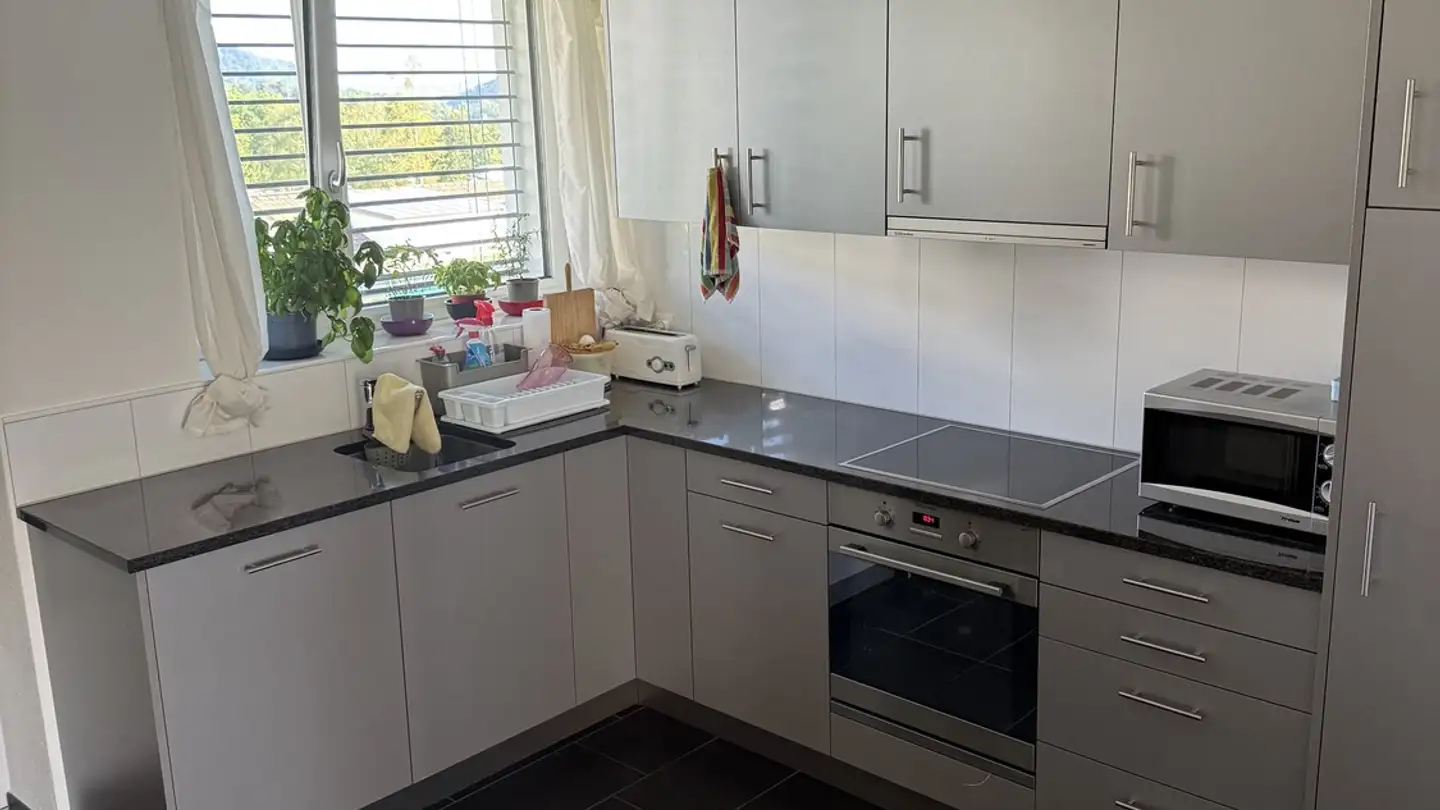 Chambre à louer - Oberhusstrasse, 8134 Adliswil - Photo 3