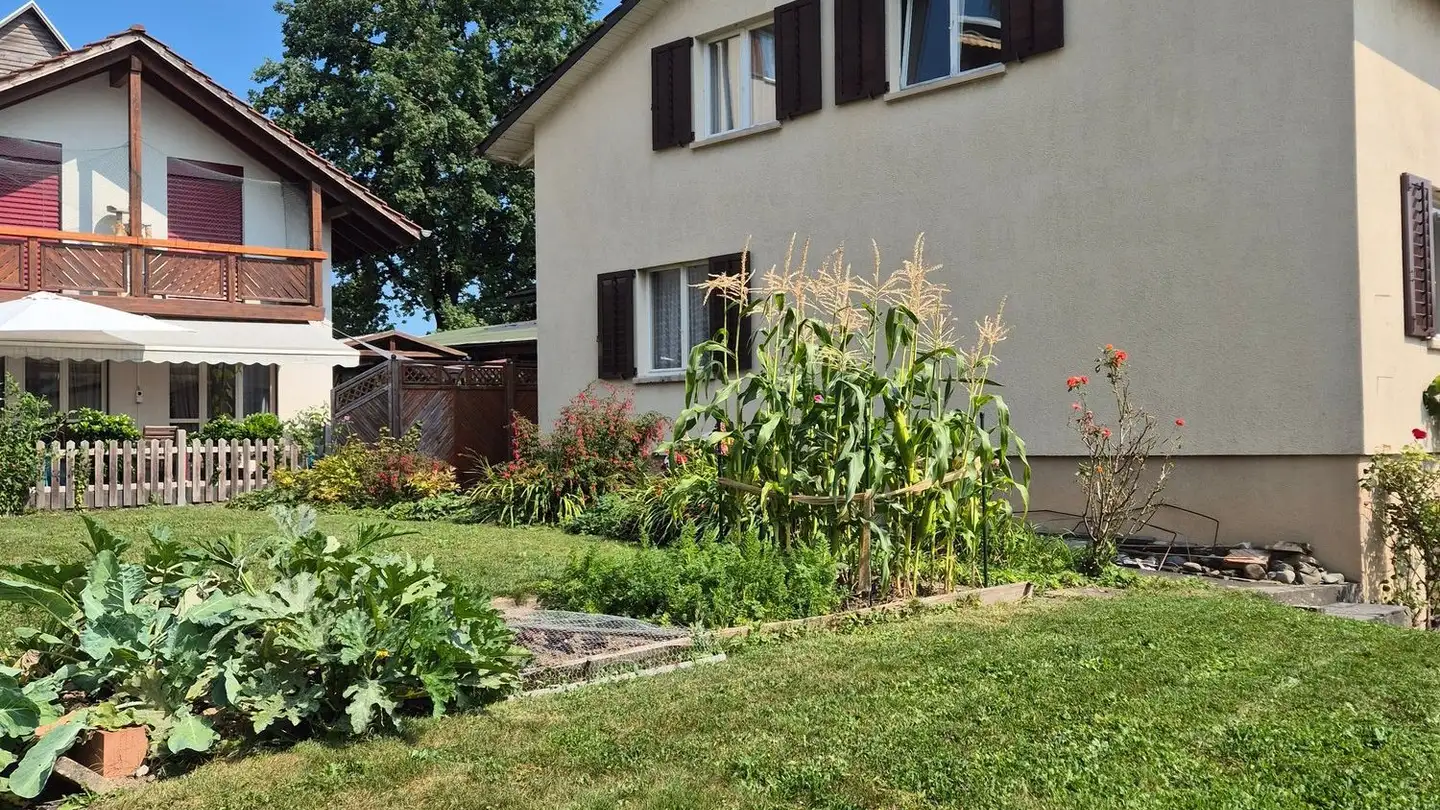Casa singola in affitto - Burgweg 3, 5622 Waltenschwil - Photo 3