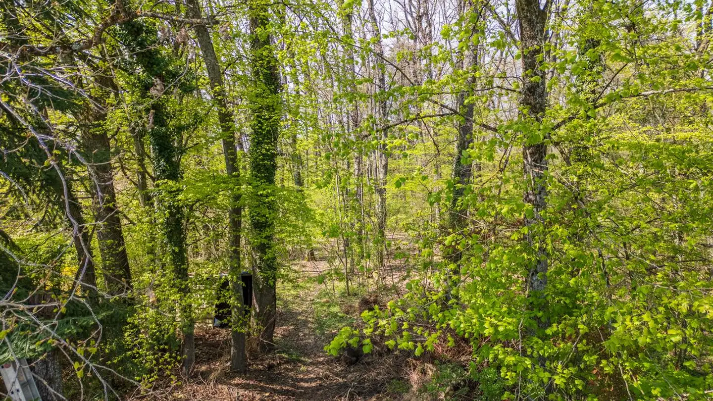 Edificio residenziale in vendita - 1290 Versoix - Foto 4