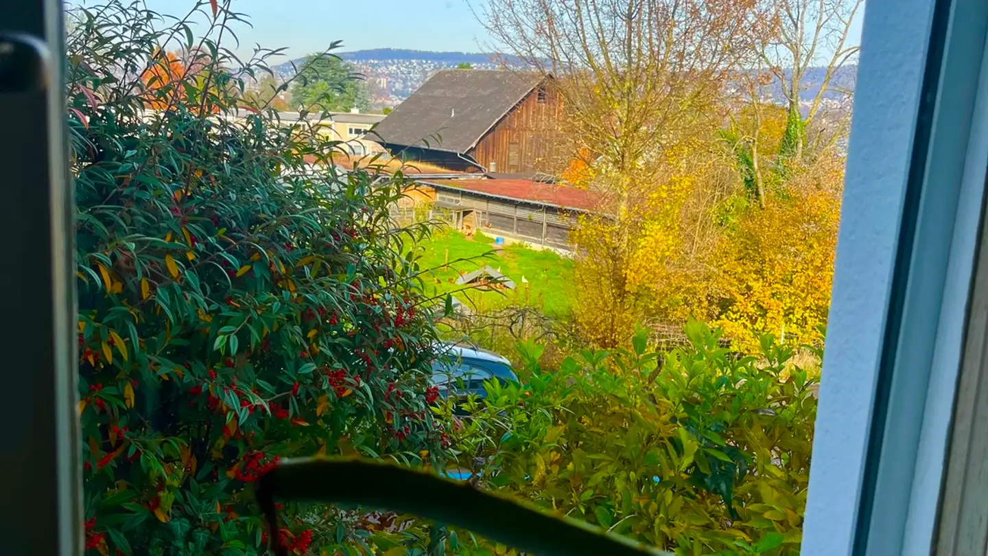 Einfamilienhaus mieten - 8038 Zürich - Foto 4