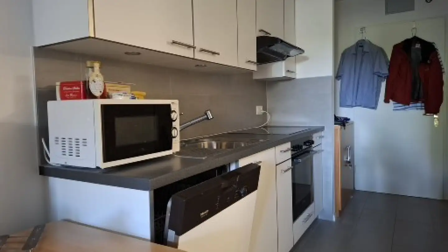 Appartamento in affitto - Chemin De La Chiésaz 1, 1024 Ecublens VD - Foto 3