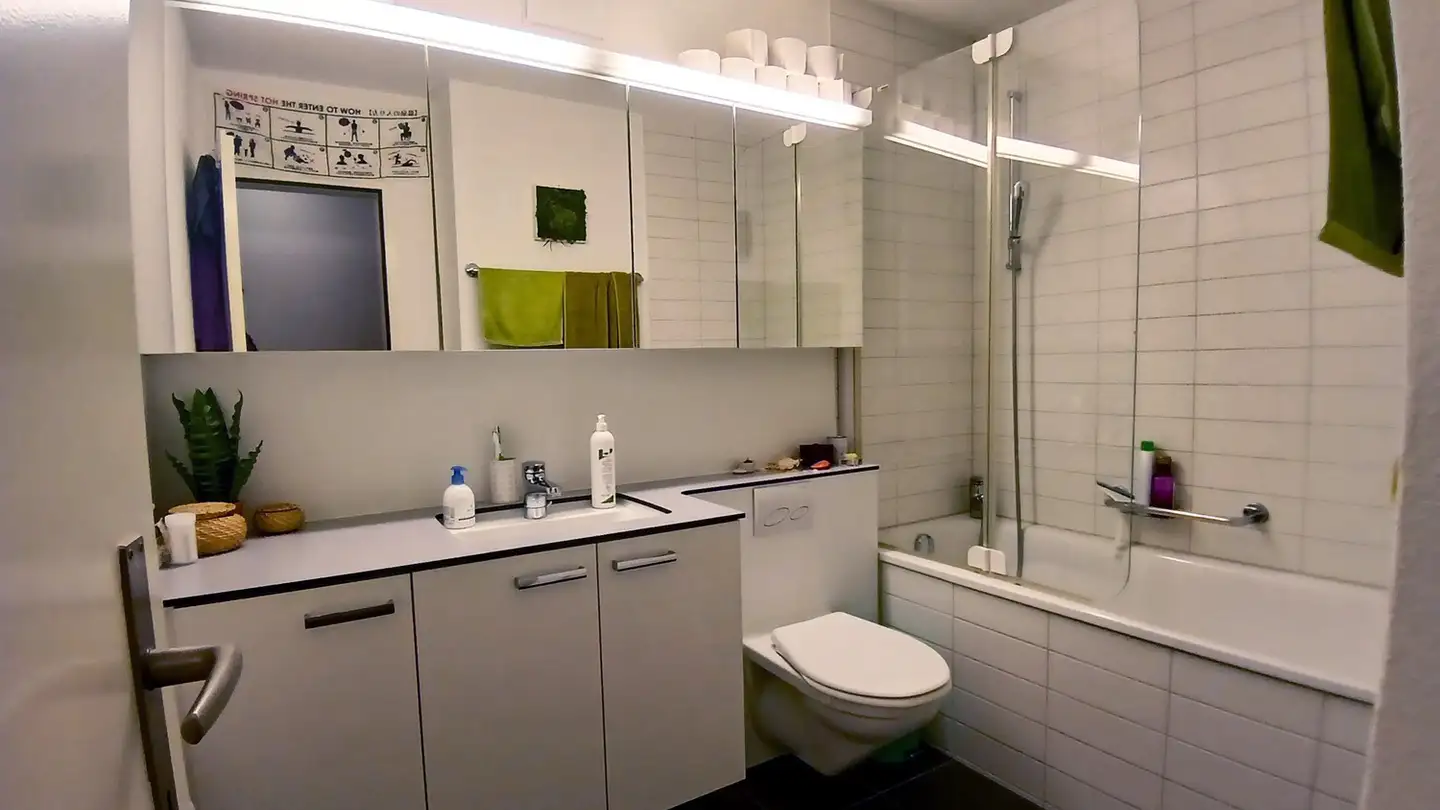 Chambre à louer - Wannerstrasse 41, 8045 Zürich - Photo 3