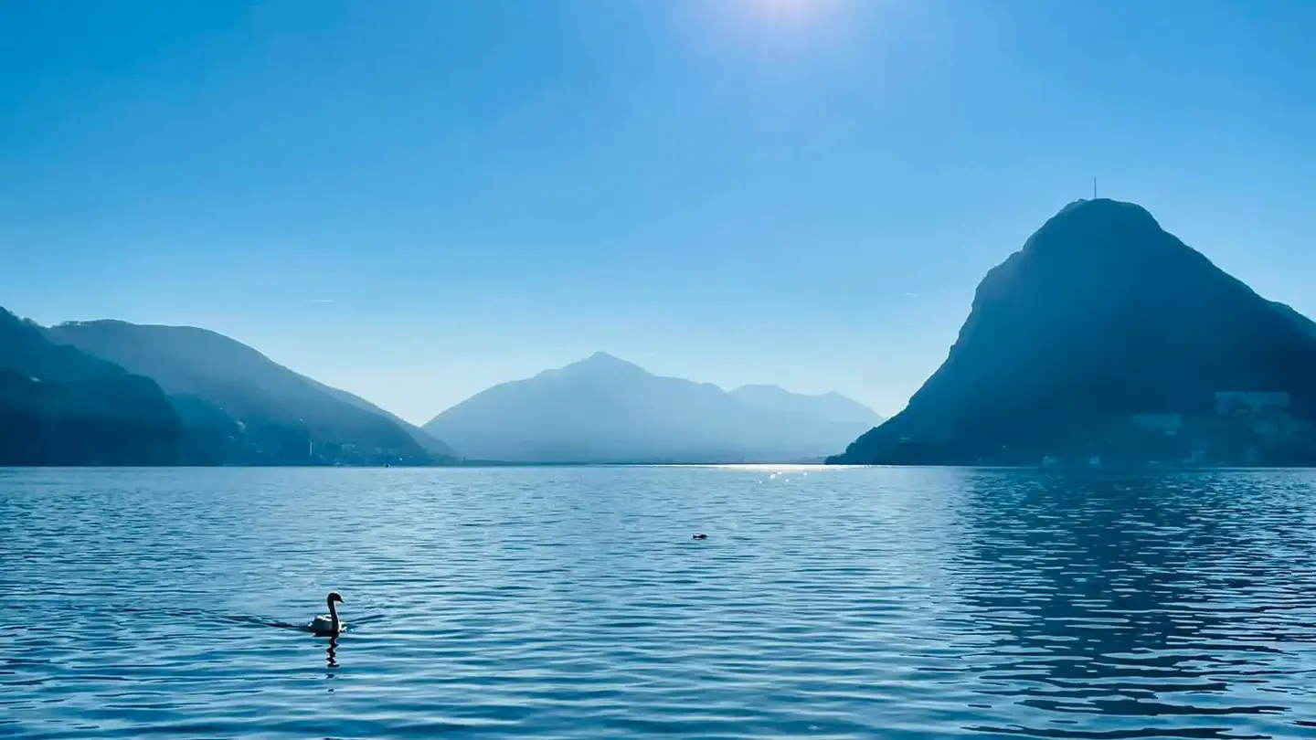 Wohnung mieten - 6900 Lugano