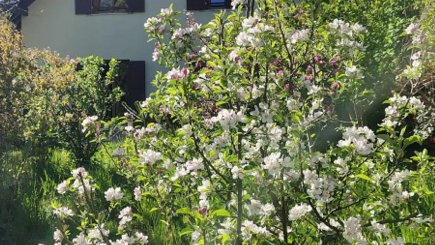 Single house for sale - Route De St-George, 1188 Gimel - Photo 4