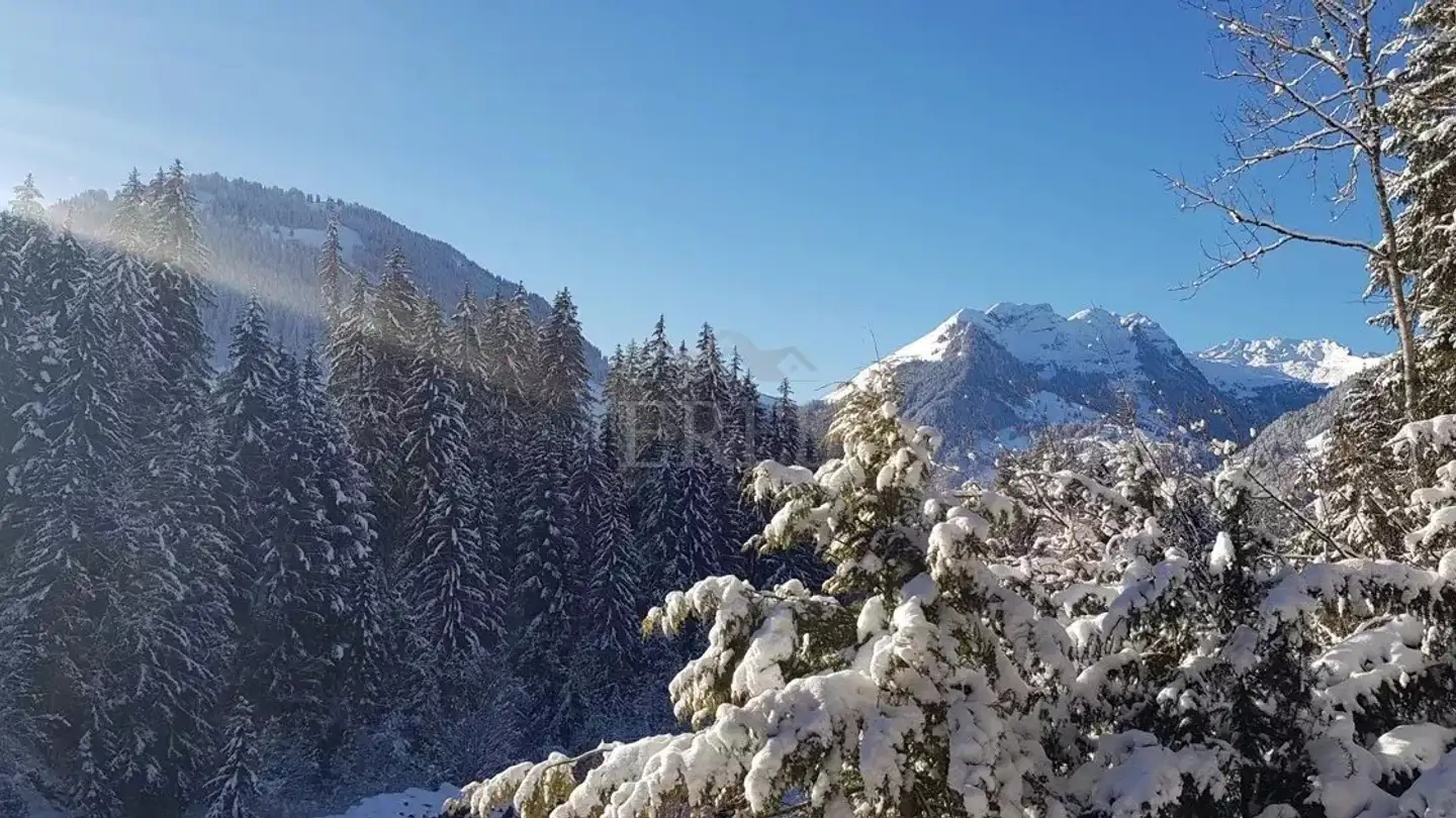 Appartement à vendre - 3780 Gstaad - Photo 3