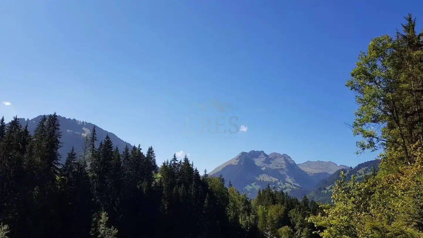 Appartement à vendre - 3780 Gstaad