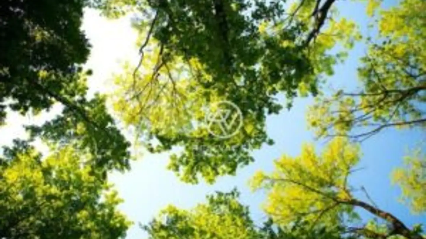 Appartamento in vendita - 6924 Sorengo