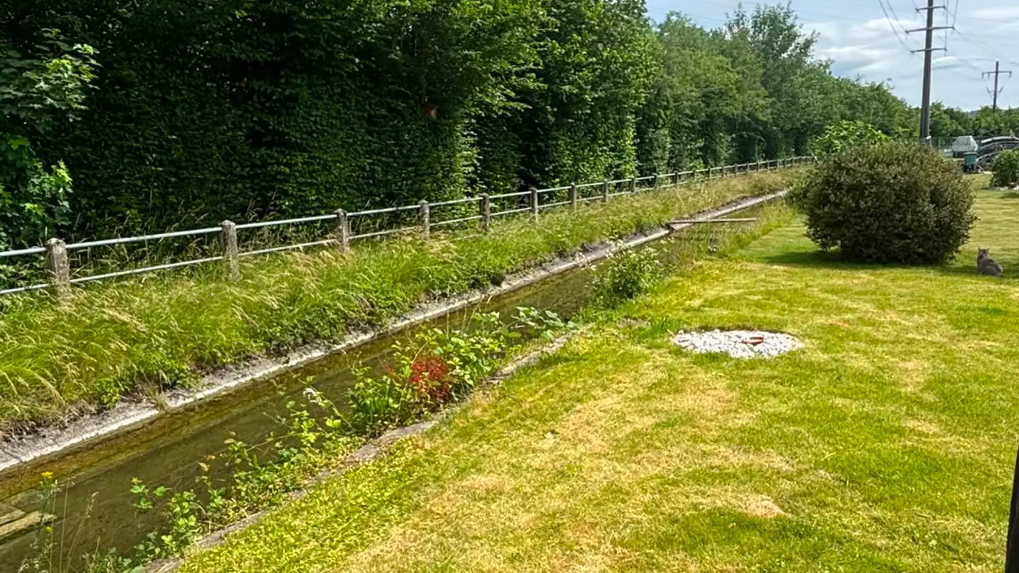 Maison individuelle à vendre - Mühledorfstrasse 64b, 5013 Niedergösgen - Photo 3