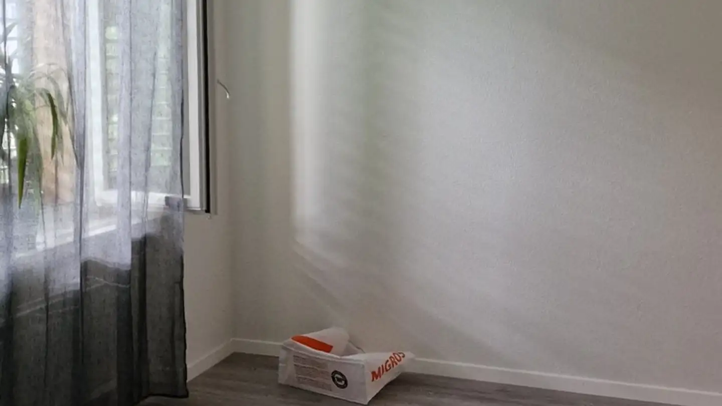 Appartamento in affitto - Sentimattstrasse 12, 6003 Luzern - Foto 4