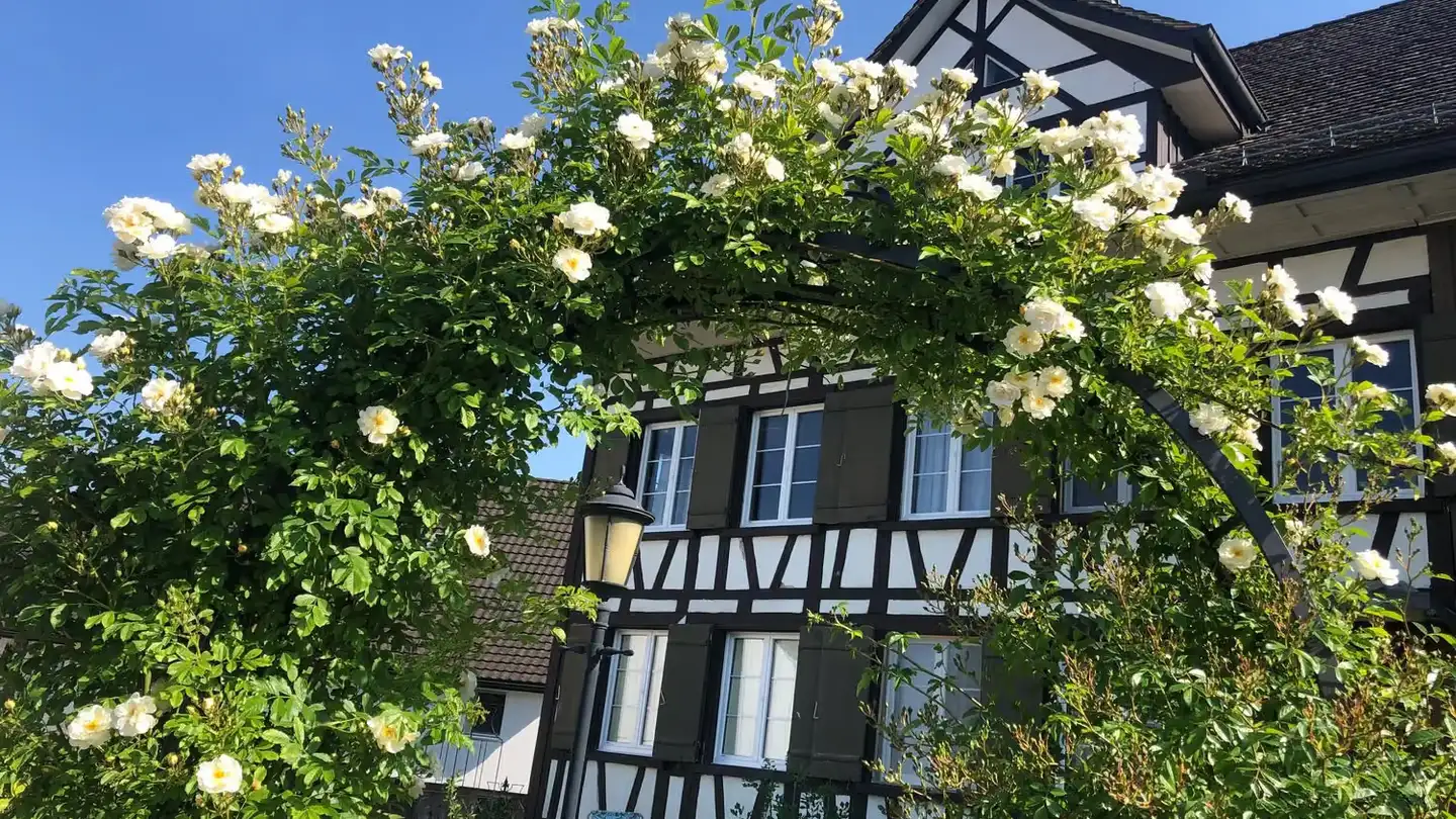 Appartamento in affitto - Ringstrasse 1, 9503 Lanterswil