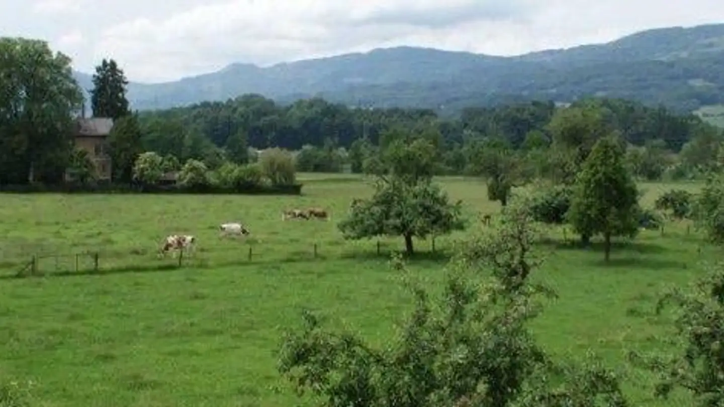 Edificio residenziale in vendita - Städtli, 3380 Wangen an der Aare - Photo 3
