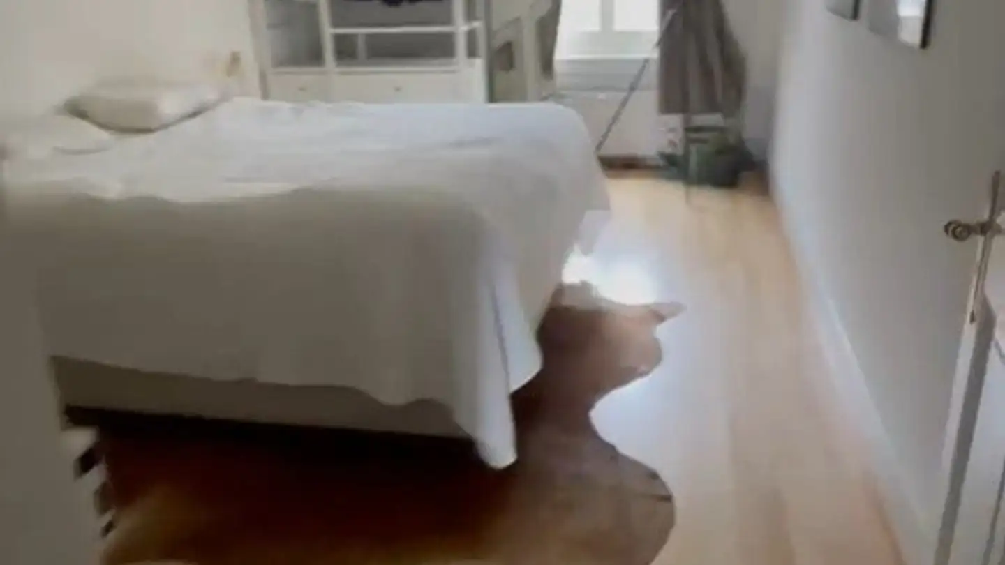 Appartamento in affitto - 3012 Bern - Foto 4