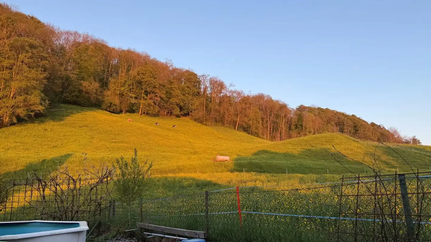 Einfamilienhaus kaufen - Quellenstrasse 23, 9214 Kradolf