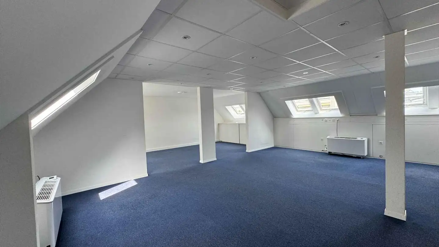 Office space for rent - Rue De L' Arquebuse 12, 1204 Genève - Photo 2