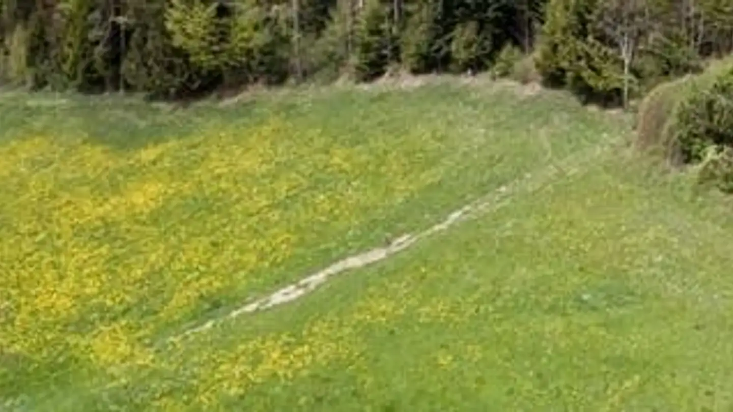 Bauland kaufen - Sonnenbergstrasse, 8725 Gebertingen - Foto 2