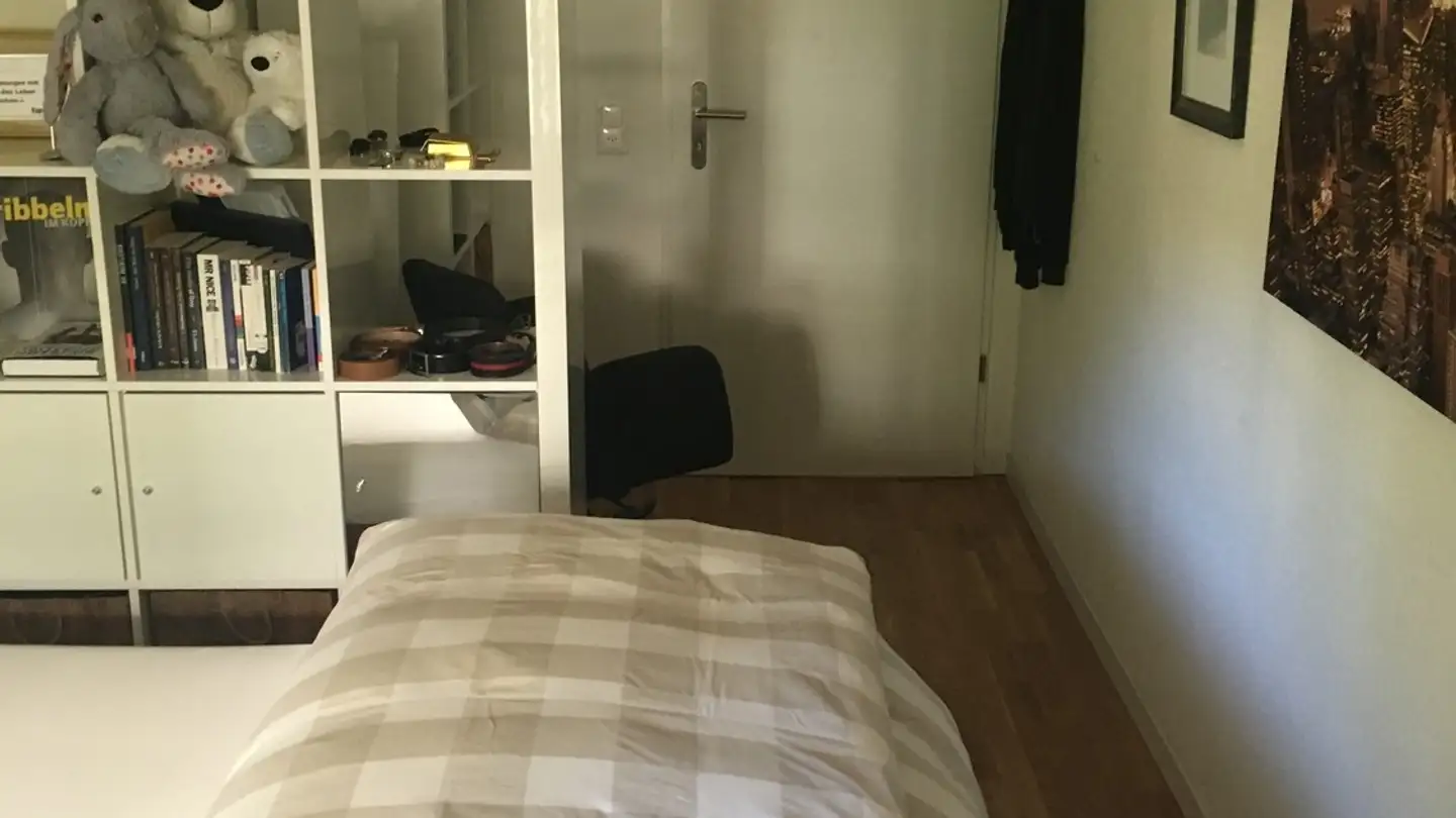 Single room for rent - 8632 Tann - Photo 4