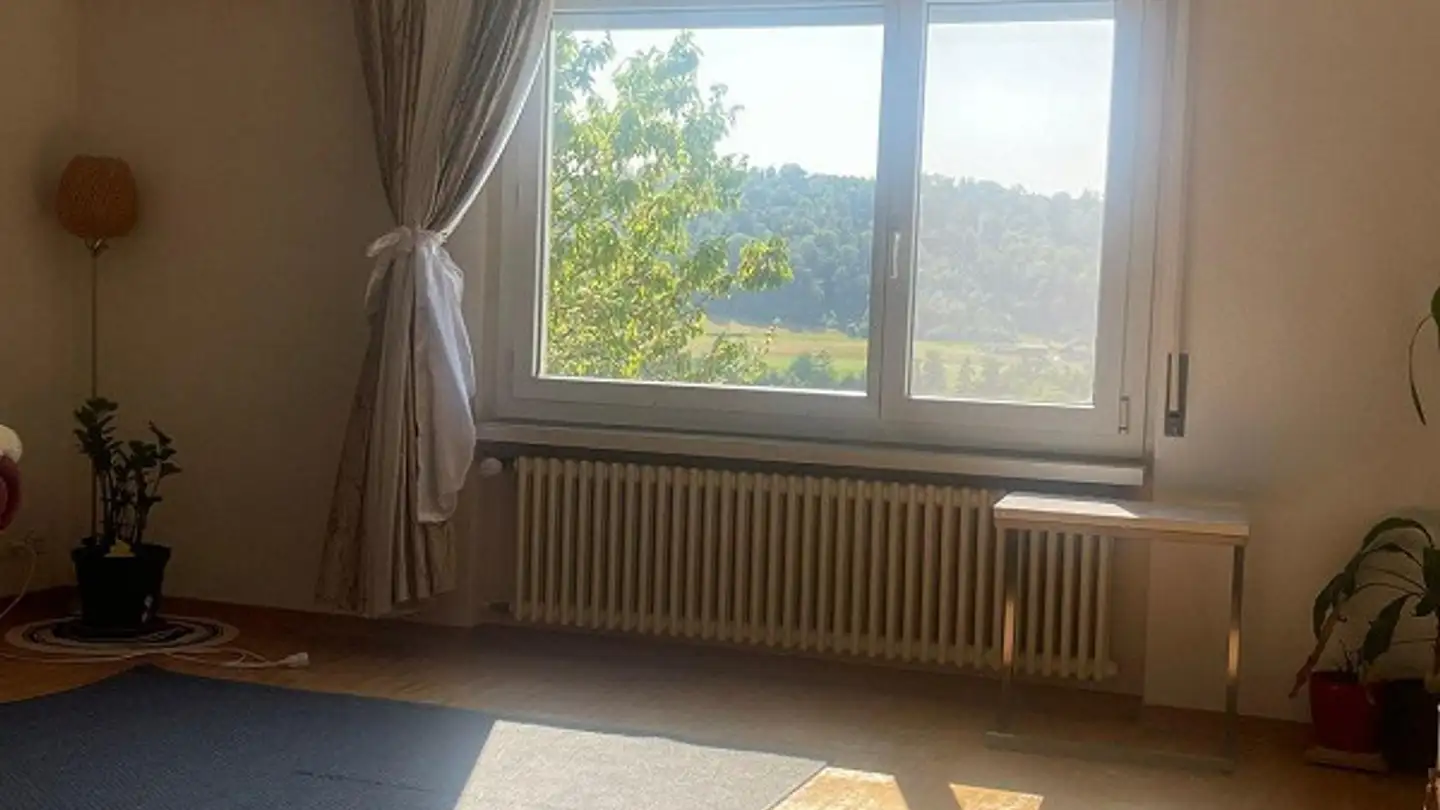 Apartment for rent - Niederweg, 8907 Wettswil - Photo 2