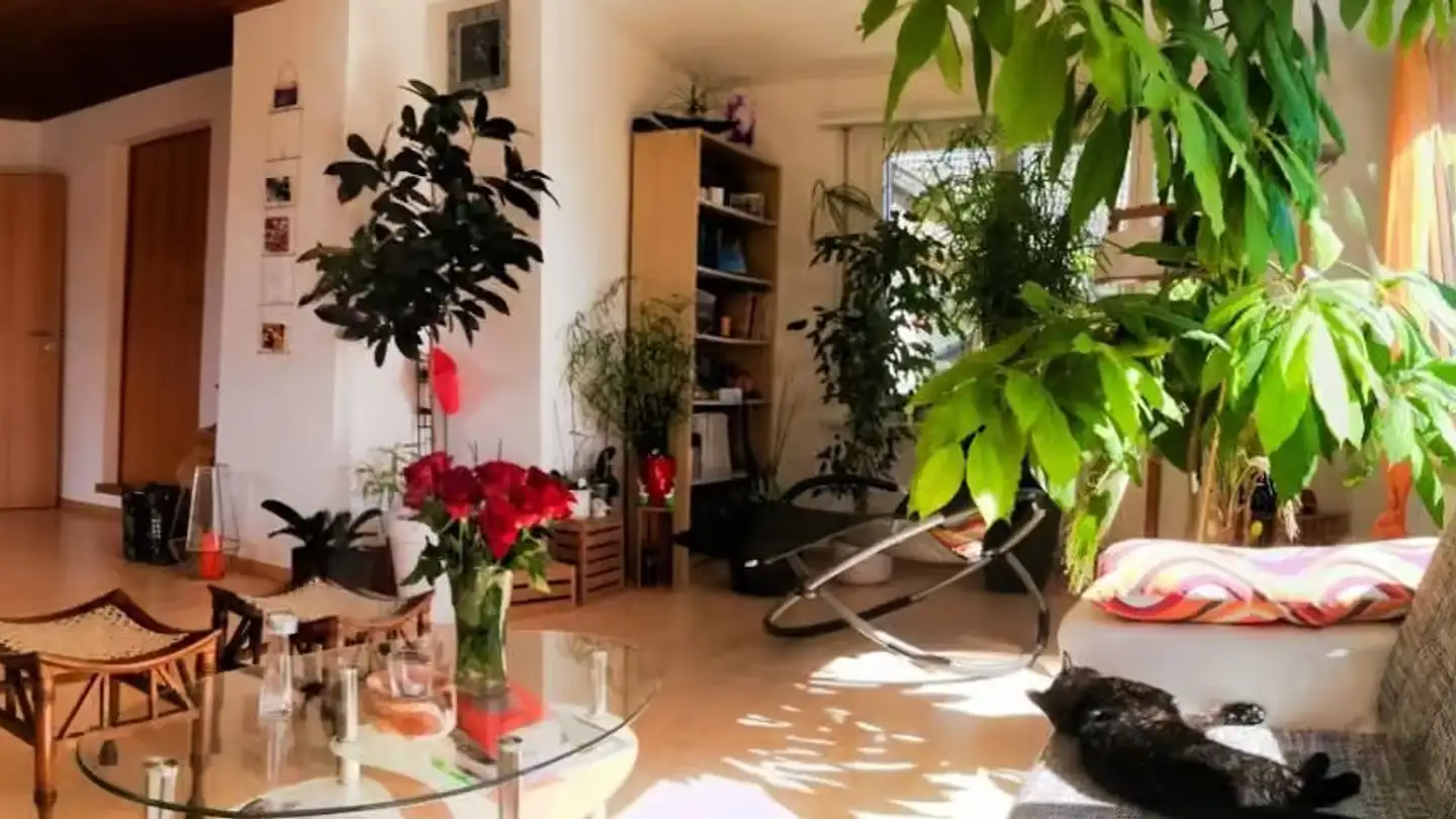 Duplex in affitto - Mittelholzstrasse 43, 3360 Herzogenbuchsee