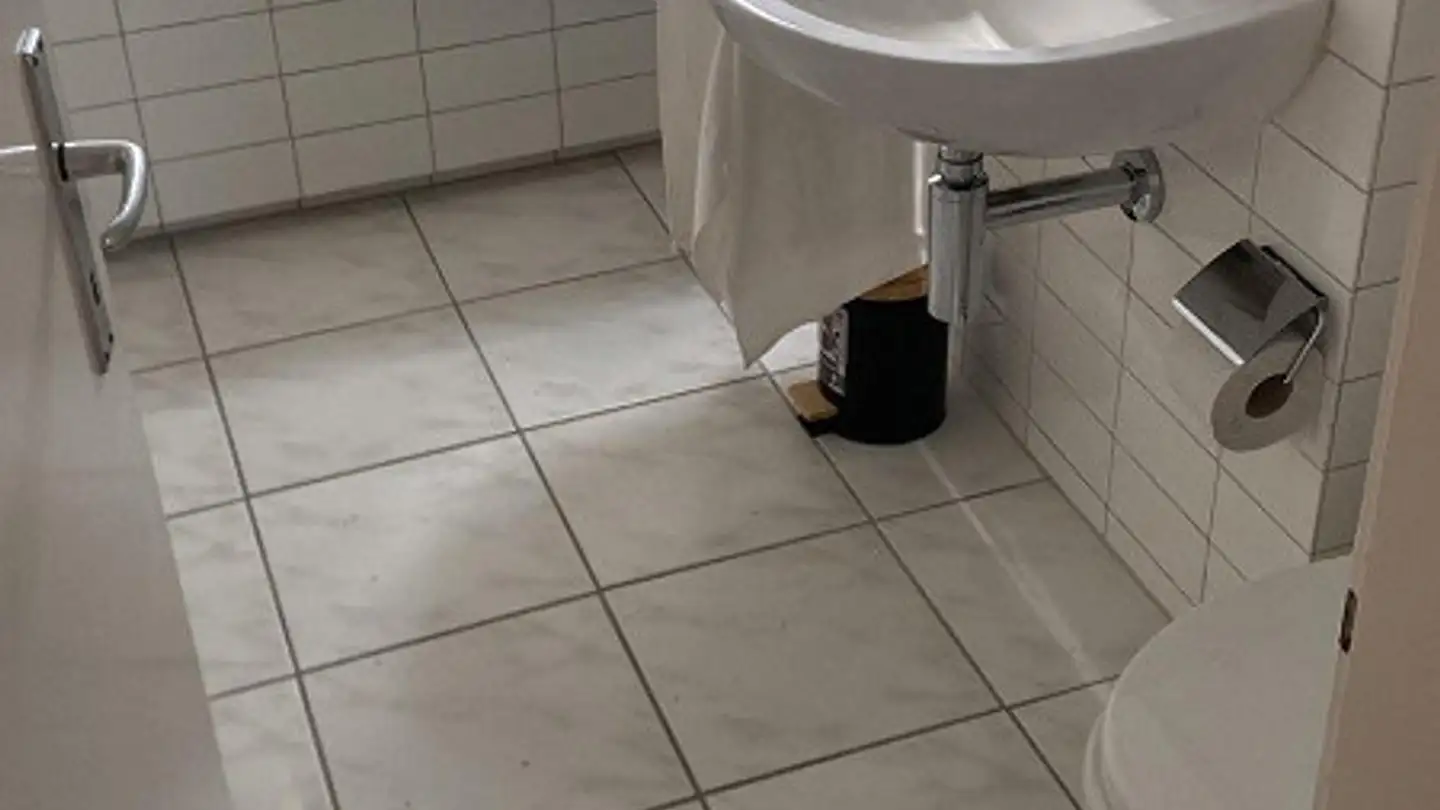 Apartment for rent - Niederweg, 8907 Wettswil - Photo 4