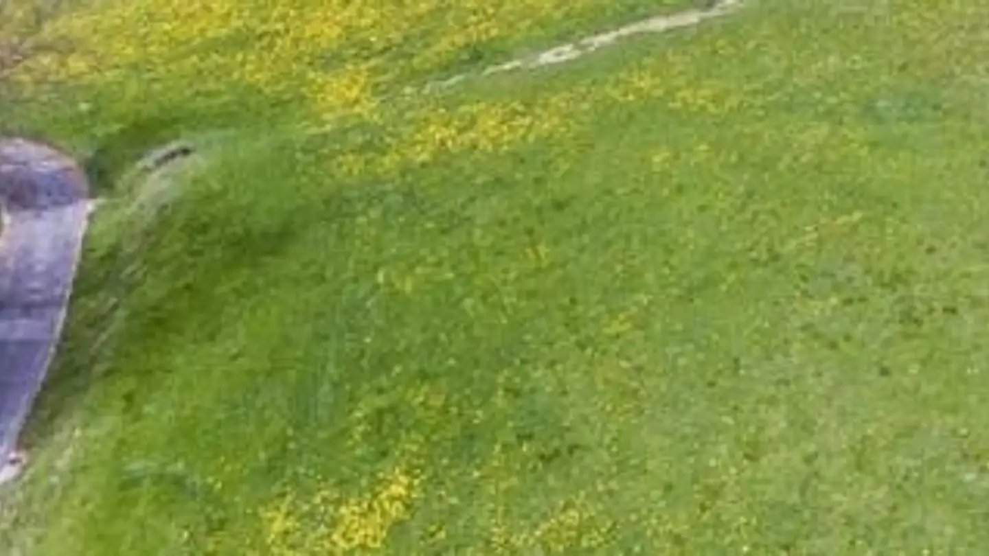 Bauland kaufen - Sonnenbergstrasse, 8725 Gebertingen - Foto 3