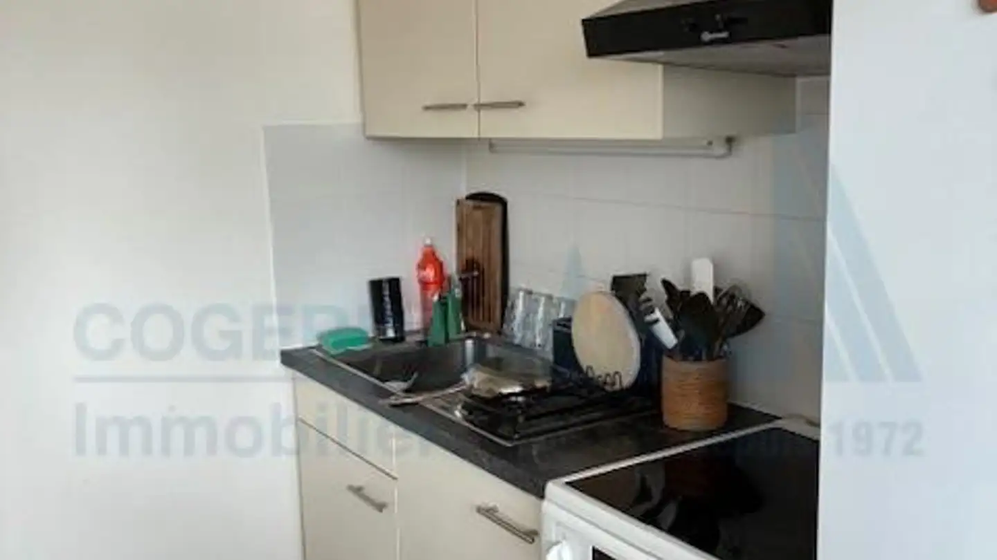 Appartamento in affitto - Route Du Grand-Lancy, 1212 Grand-Lancy - Foto 2