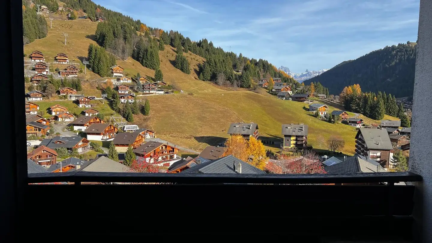 Appartement à vendre - Route De France 28, 1875 Morgins