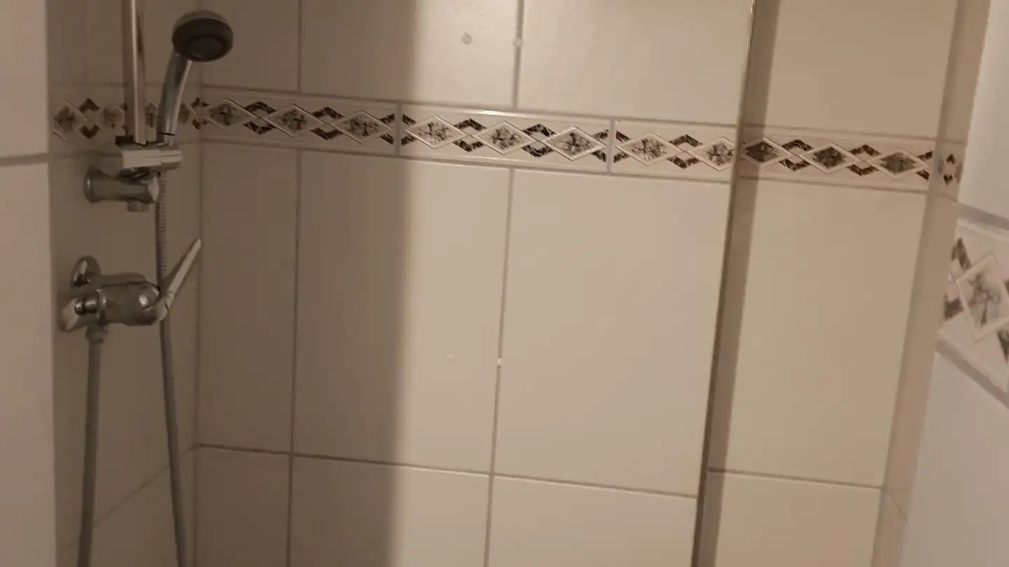 Apartment for rent - 8807 Freienbach - Photo 3