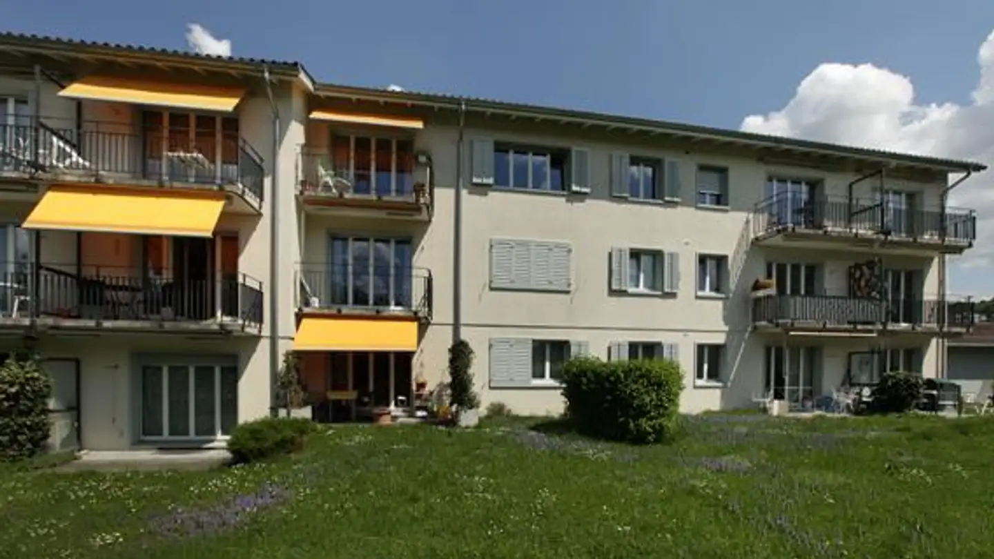 Appartement à louer - Im Walder, 8702 Zollikon - Photo 2