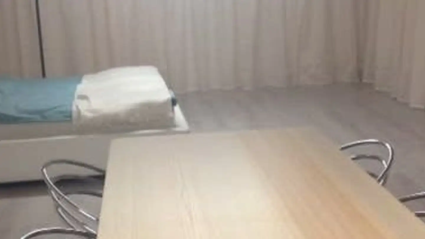 Appartement meublé à louer - Rebenweg 31, 8610 Uster