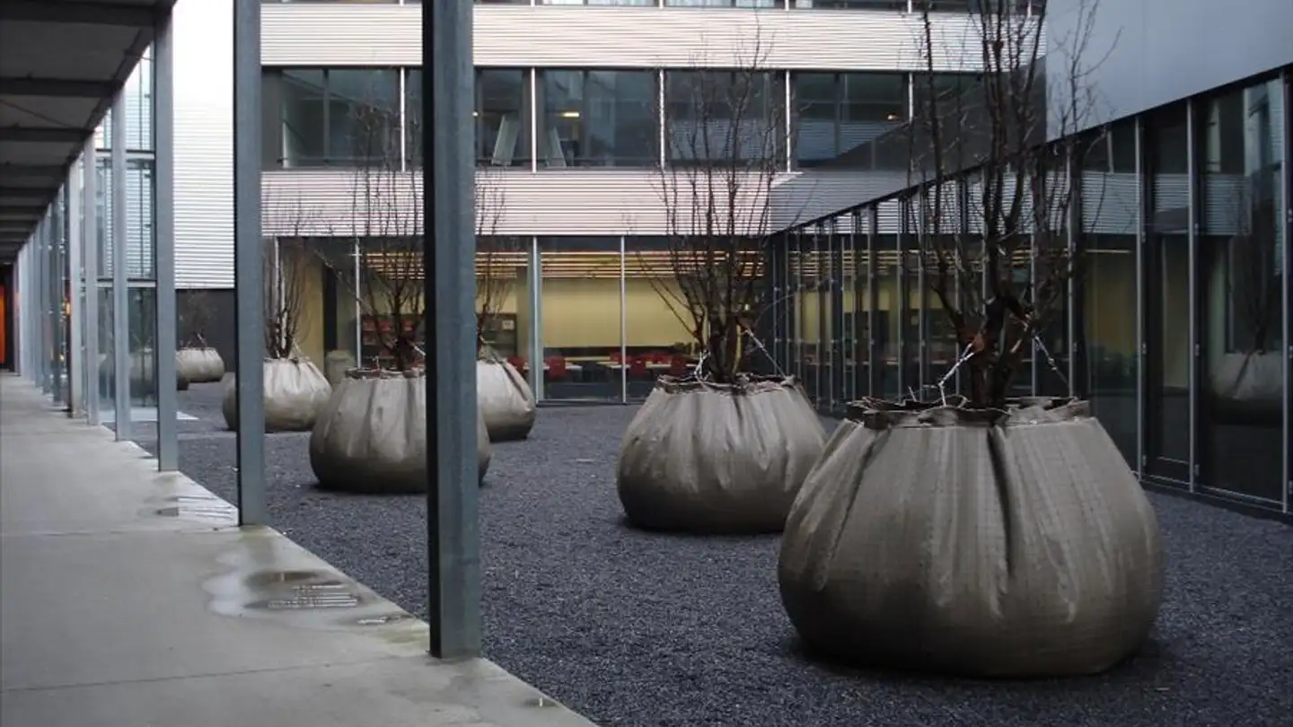 Villa for rent - Katharina-Sulzer-Platz 12, 8400 Winterthur - Photo 2