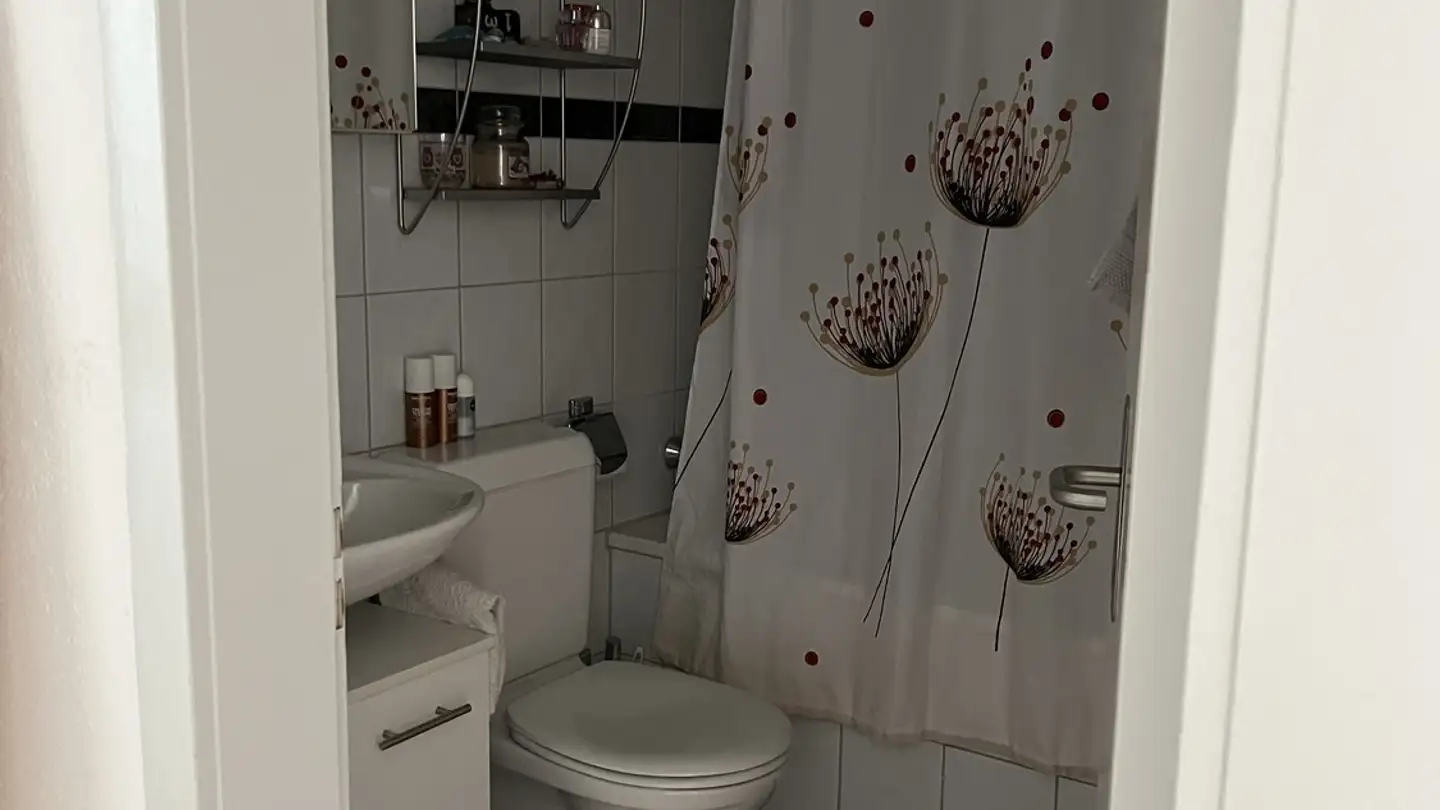 Chambre à louer - Schäflibachstrasse 9, 8953 Dietikon - Photo 4