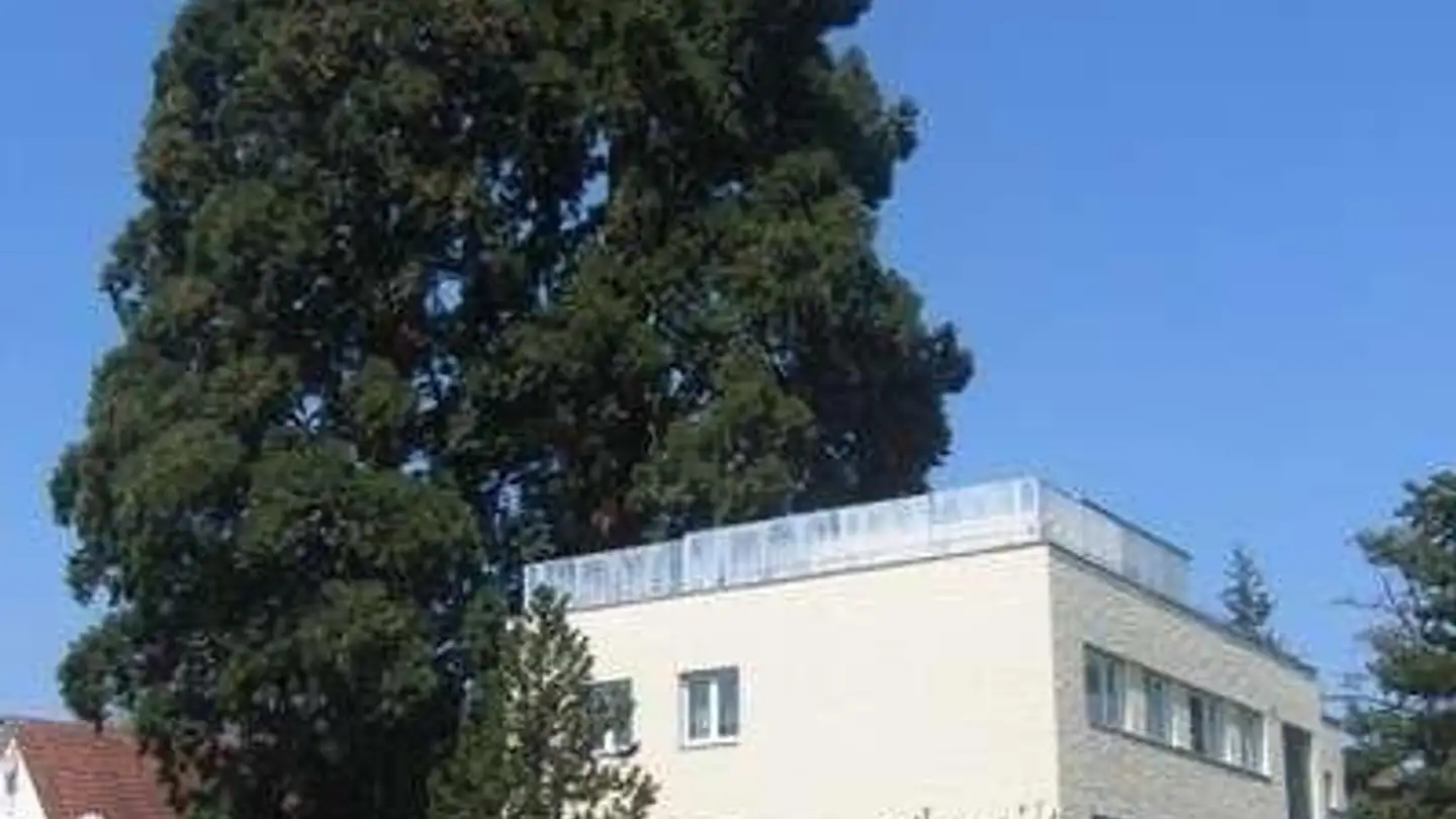 Appartamento in affitto - Seestrasse 233, 8700 Küsnacht ZH